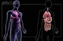 肠原性青紫病 肠原性青紫病